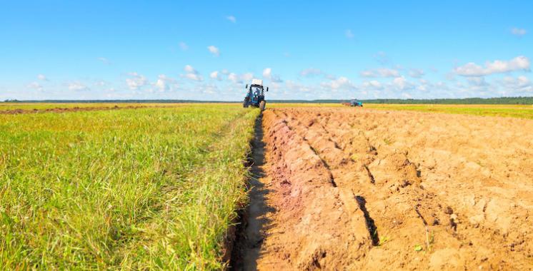 PSR Misure agroambientali in Piemonte: possibilità di nuove domande di contributo