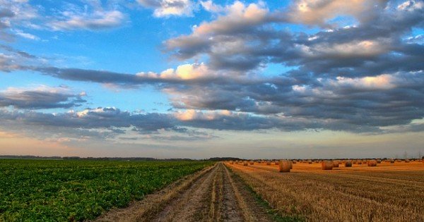 Assicurazioni campagna 2016