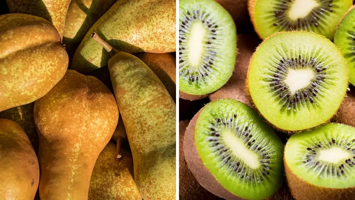 Contributo per le aziende che hanno subito un brusco calo della produzione di pere o kiwi nel 2023 rispetto al 2022.