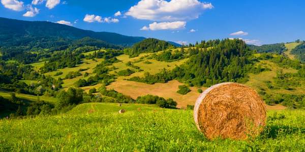 PSR piemontese: al via il bando Indennità Compensativa per sostenere l’agricoltura nelle zone di montagna