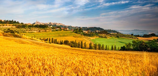 Piemonte: al via il Bando PSR Miglioramento per la generalità delle aziende agricole