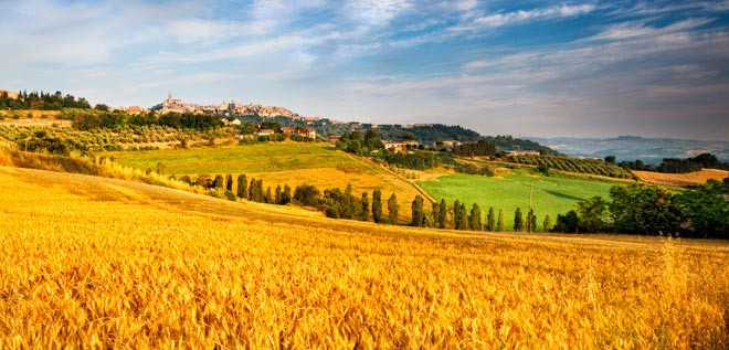 Al via le domande di esonero contributivo per le nuove iscrizioni all’INPS in agricoltura nel 2022