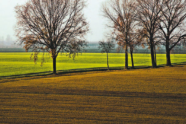 Agevolazioni IRPEF in agricoltura: i primi chiarimenti ed alcuni nodi ancora irrisolti