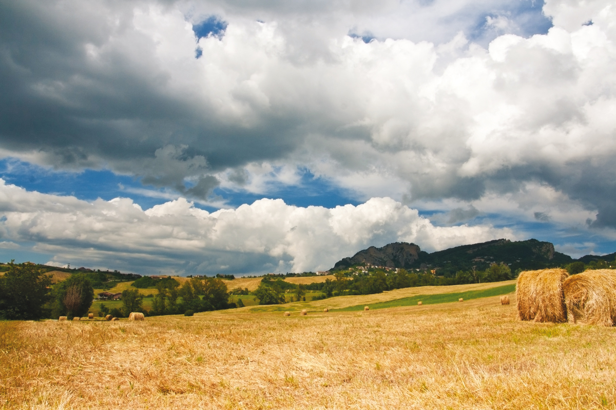 TRT_PICCOLI_AGRICOLTORI 