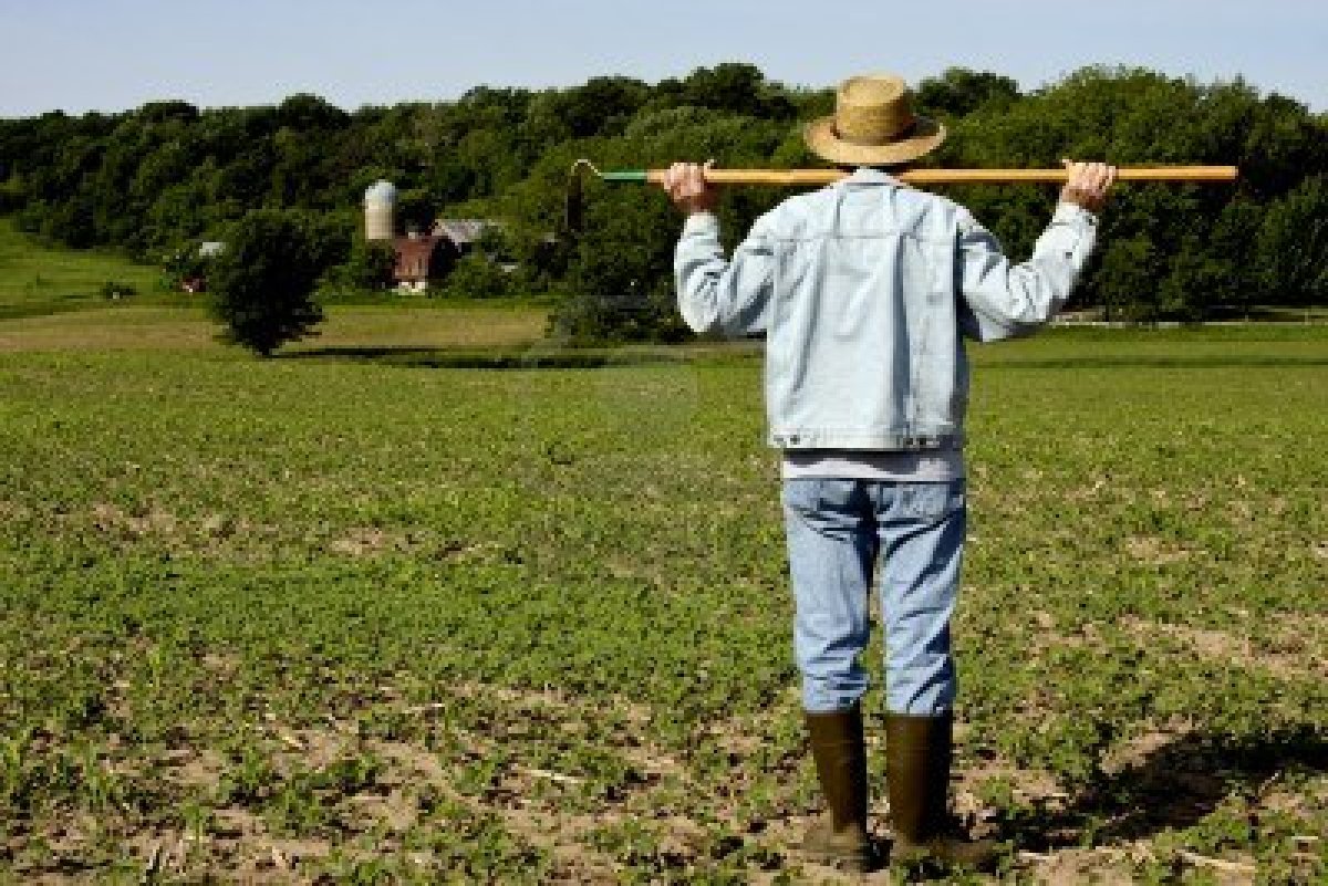 Agricoltore attivo: conterà il codice ATECO?