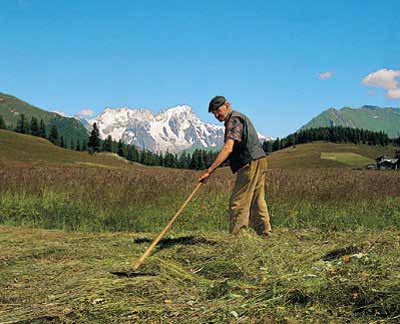 Agricoltore attivo PAC