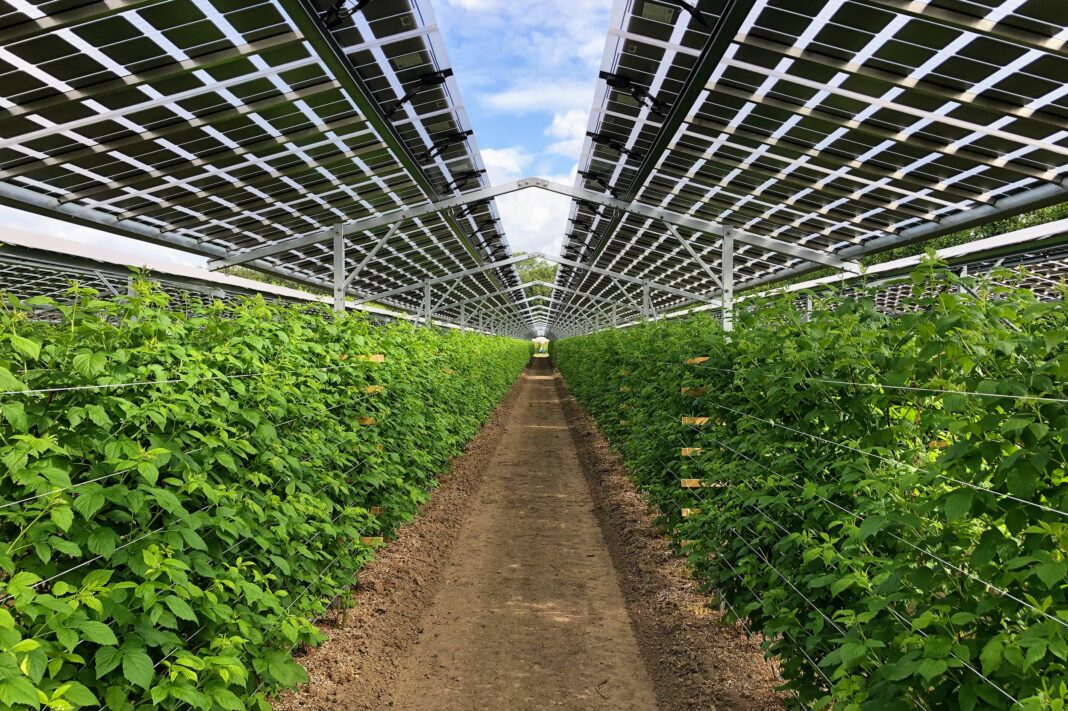 agrivoltaico-tassazione