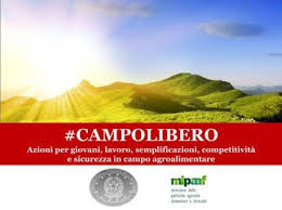 #campolibero