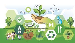 ecoschemi-2024