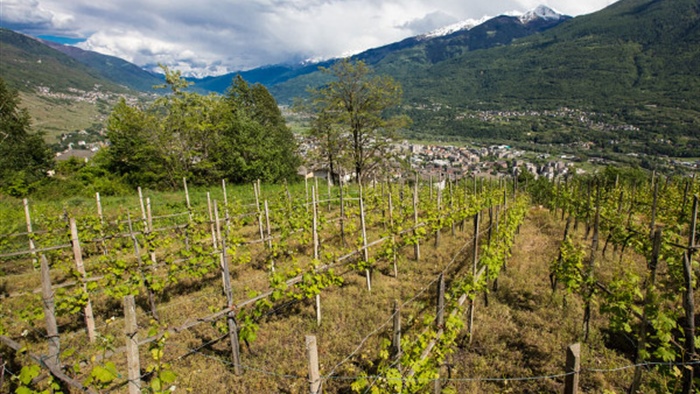 Novità riguardanti l'IMU sui terreni agricoli montani