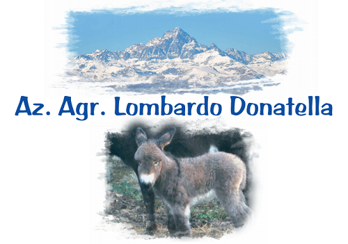 logo-azienda-lombardo