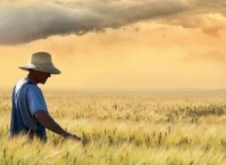 Nuova PAC: in campo gli Ecoschemi