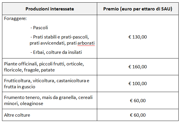 tabella-importi-premi