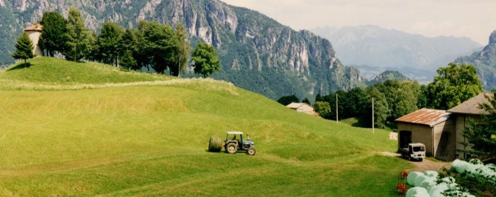 Novità anche per l’acquisto di terreni agricoli in montagna