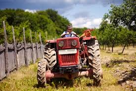 Revisione mezzi agricoli: ulteriore proroga